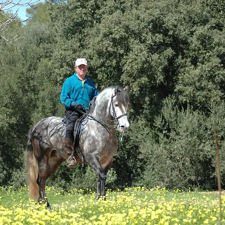 Country house Son Sama Llucmajor (Mallorca)